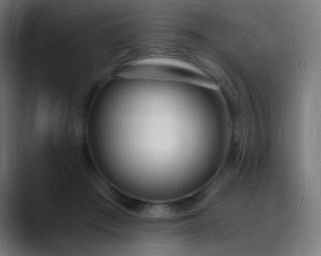 X0000089830409200706281215
