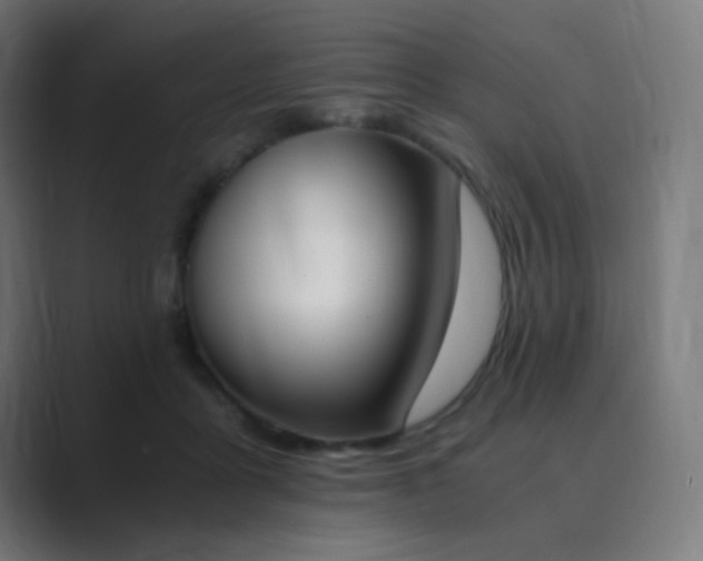 X0000089830411200706281215