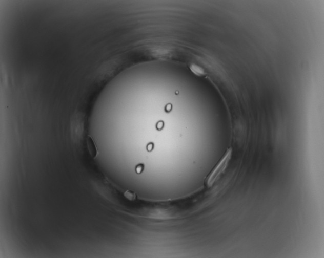 X0000089830412200706281215