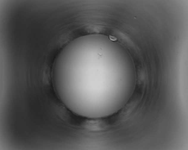 X0000089830414200706281215