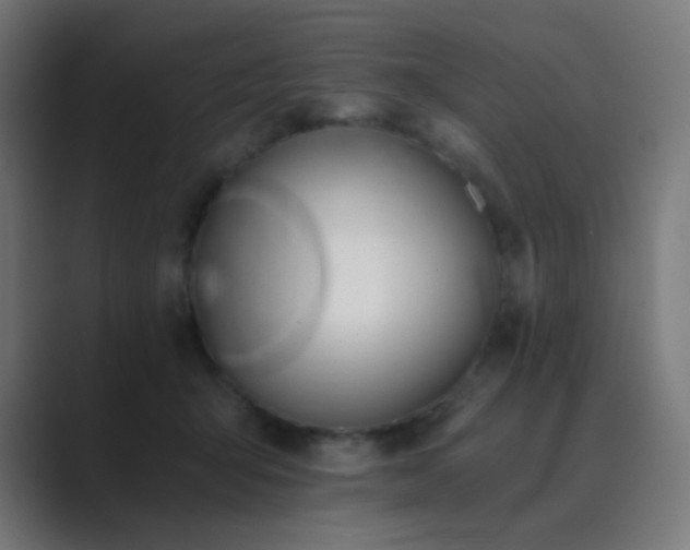 X0000089830415200706281215