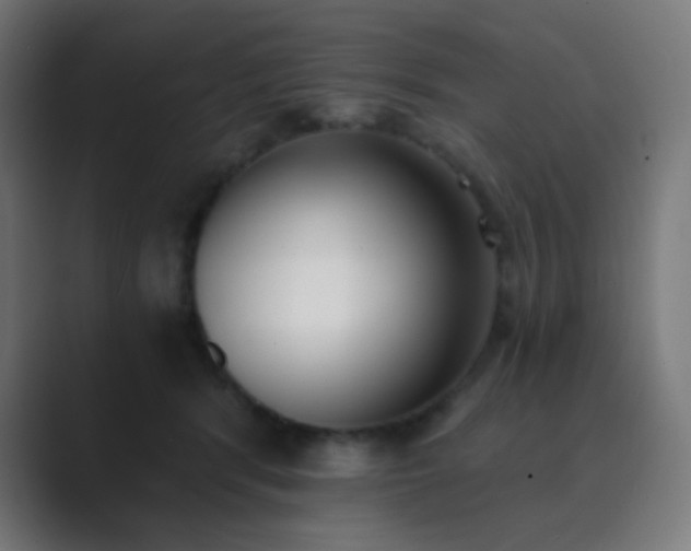 X0000089830416200706281215