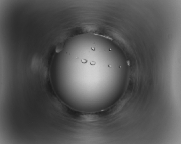 X0000089830417200706281215