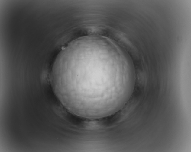 X0000089830419200706281215