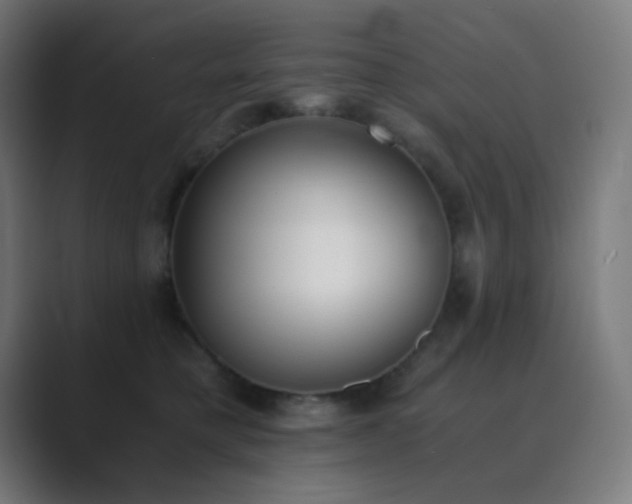 X0000089830421200706281215
