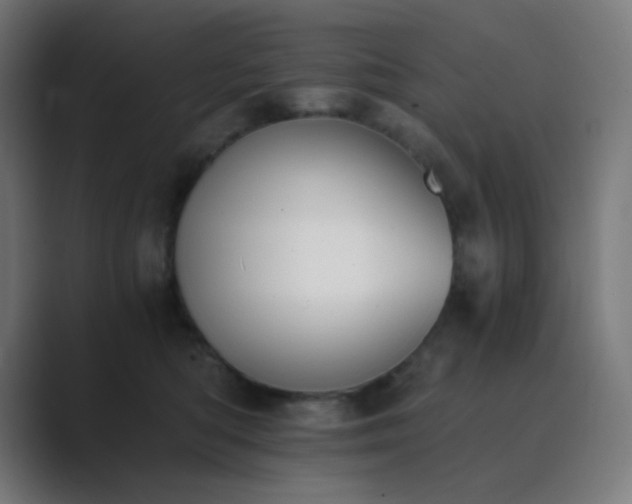 X0000089830422200706281215