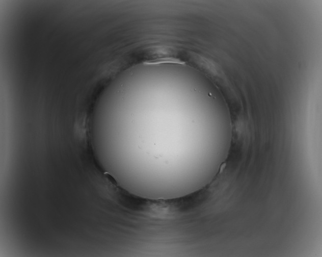 X0000089830423200706281215