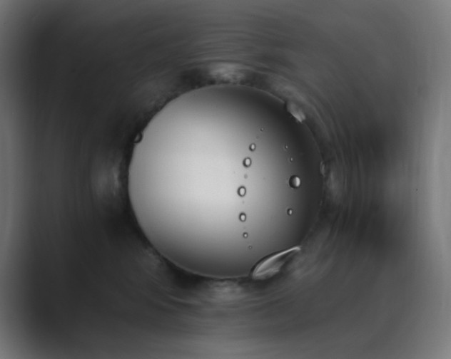 X0000089830424200706281215