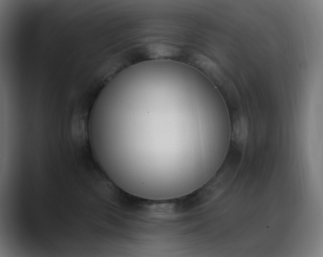 X0000089830426200706281215