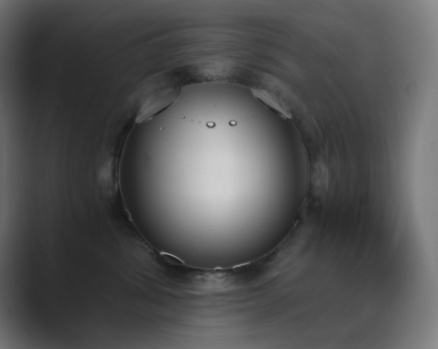 X0000089830428200706281215