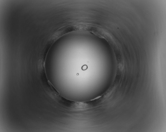 X0000089830429200706281215