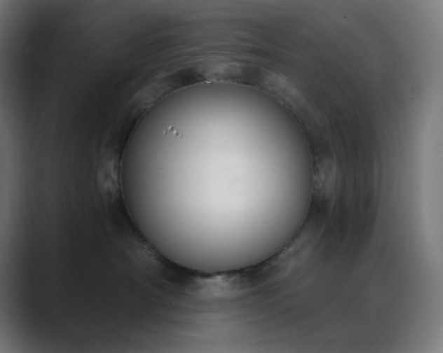 X0000089830430200706281215