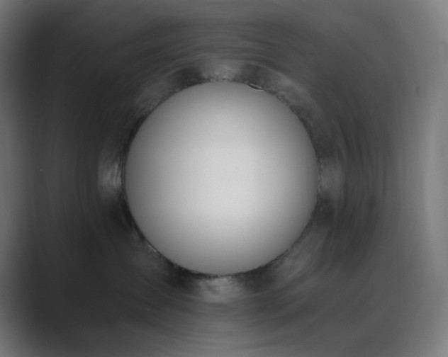 X0000089830431200706281215