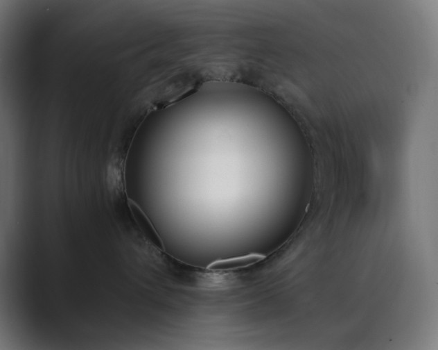 X0000089830432200706281215