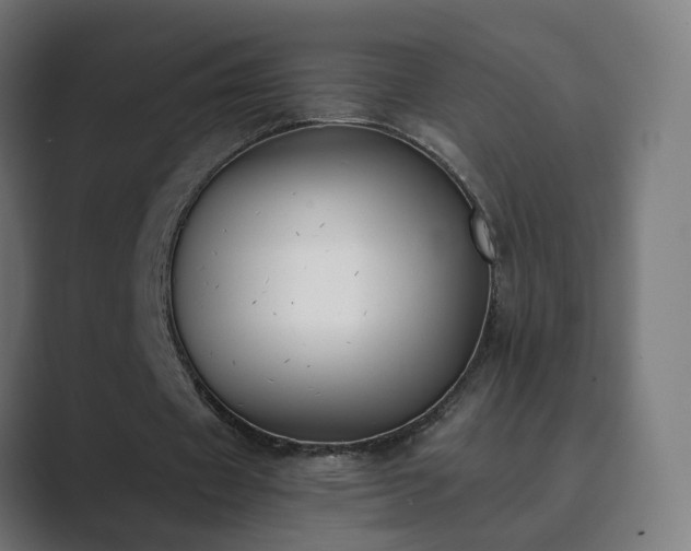 X0000089830433200706281214