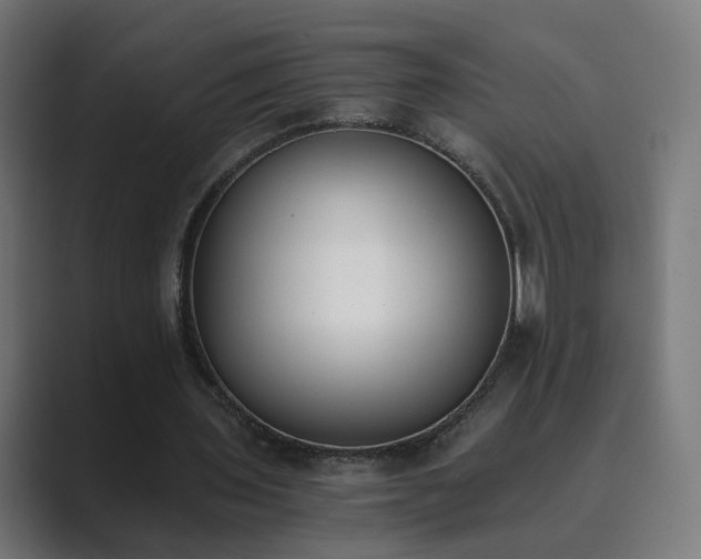 X0000089830435200706281214