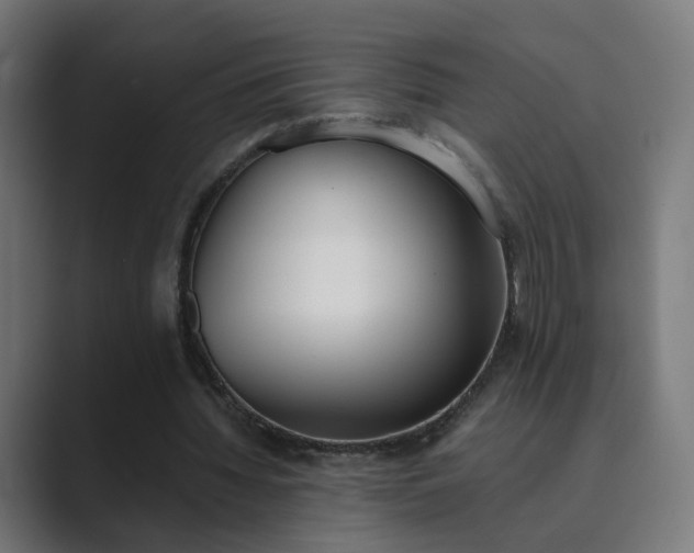 X0000089830436200706281214