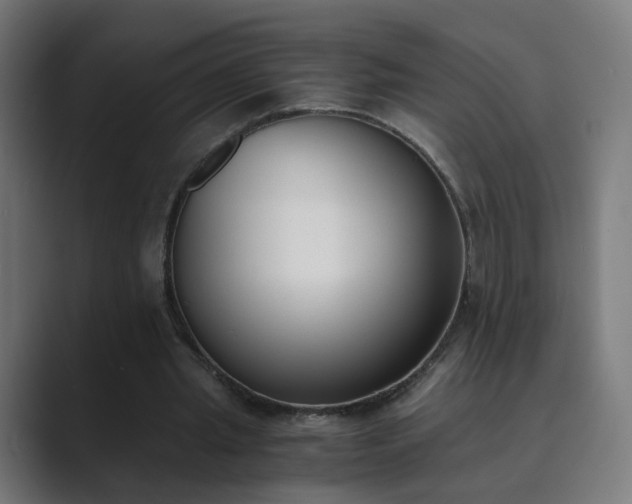 X0000089830437200706281214
