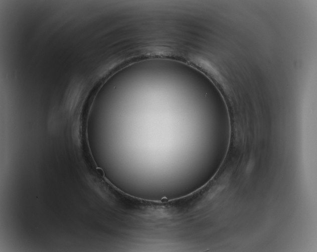 X0000089830439200706281214