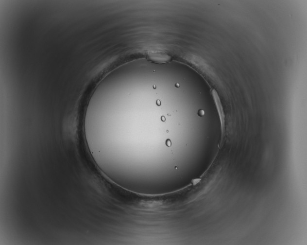 X0000089830440200706281214
