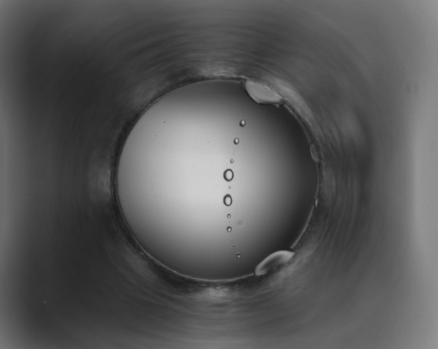 X0000089830441200706281214