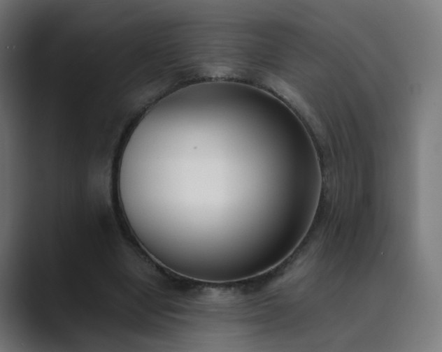 X0000089830442200706281214