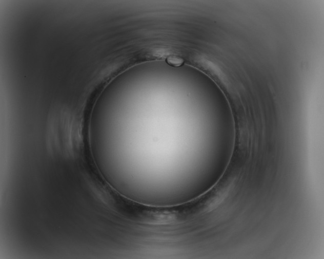 X0000089830443200706281214