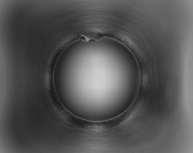 X0000089830444200706281214