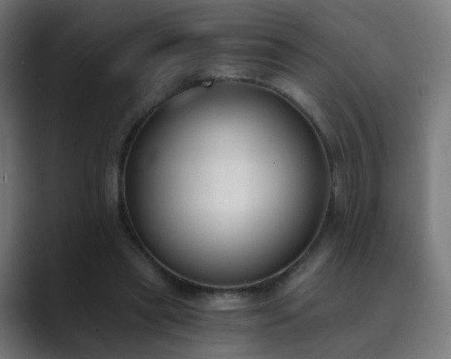 X0000089830445200706281214