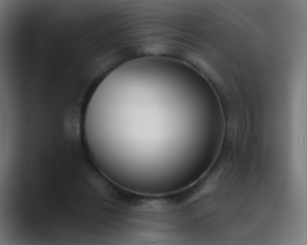 X0000089830446200706281214