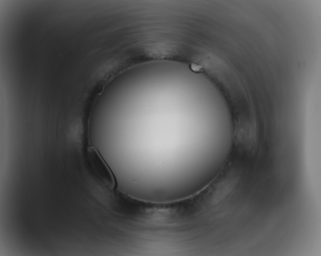 X0000089830448200706281214