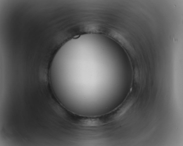 X0000089830449200706281214
