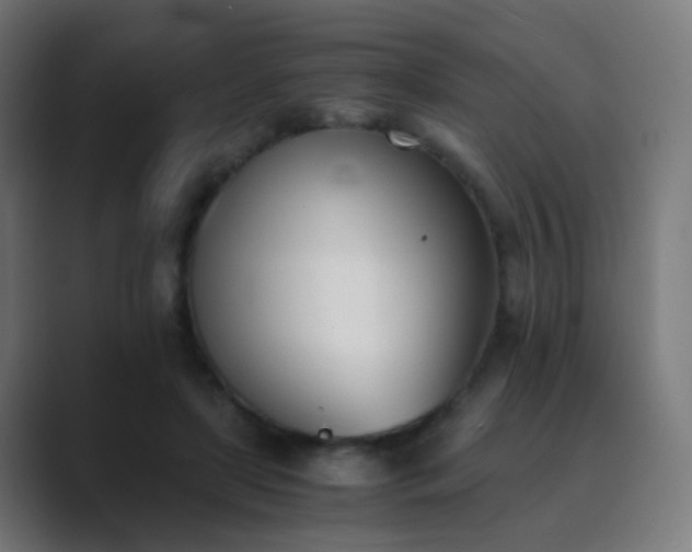 X0000089830451200706281215