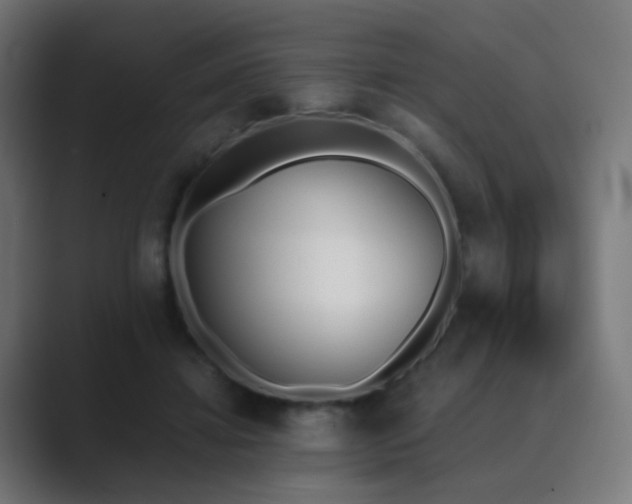 X0000089830452200706281215