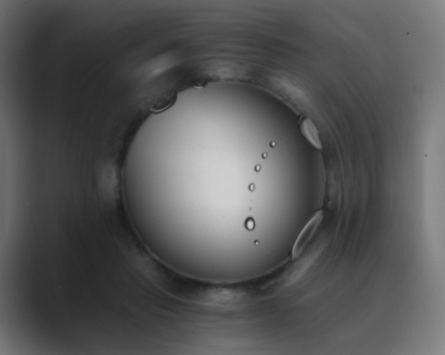 X0000089830453200706281215