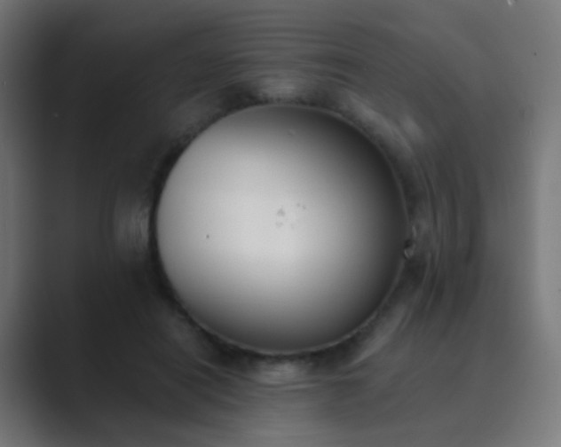 X0000089830454200706281215