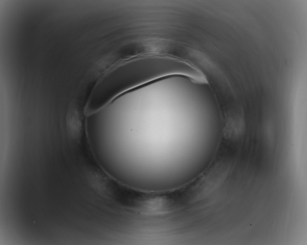 X0000089830456200706281215