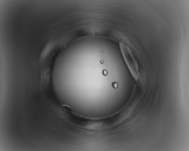 X0000089830458200706281215
