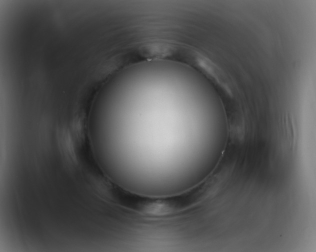 X0000089830460200706281215