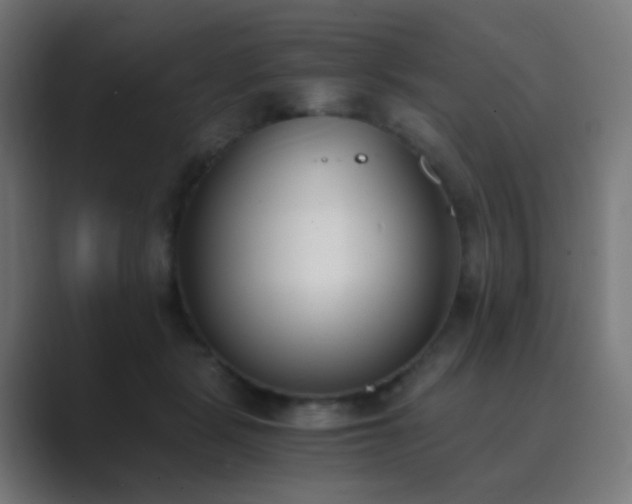 X0000089830461200706281215