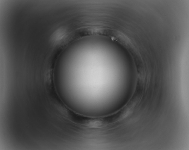X0000089830462200706281215