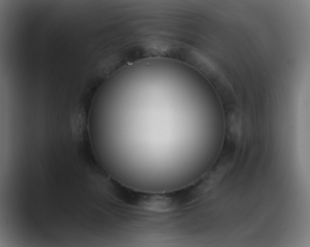 X0000089830463200706281215
