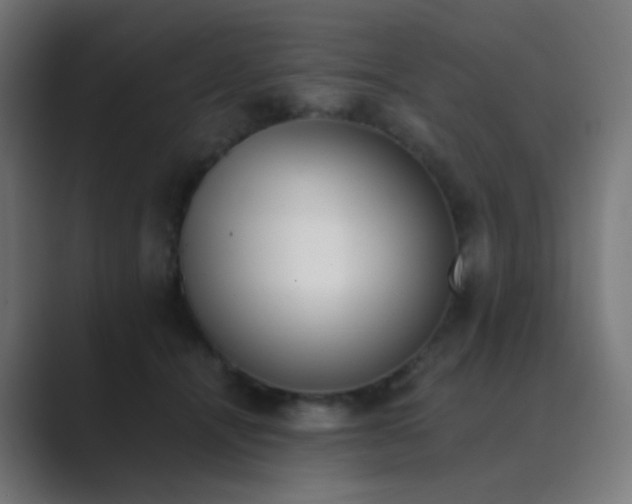 X0000089830464200706281215