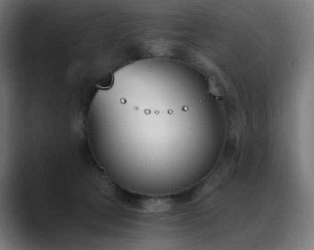X0000089830465200706281215