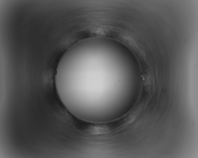 X0000089830466200706281215