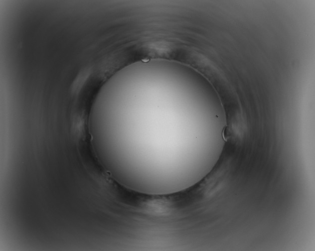 X0000089830468200706281215