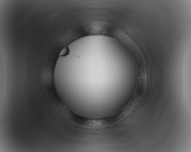 X0000089830469200706281215
