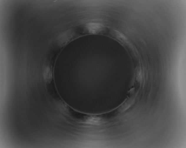 X0000089830471200706281215
