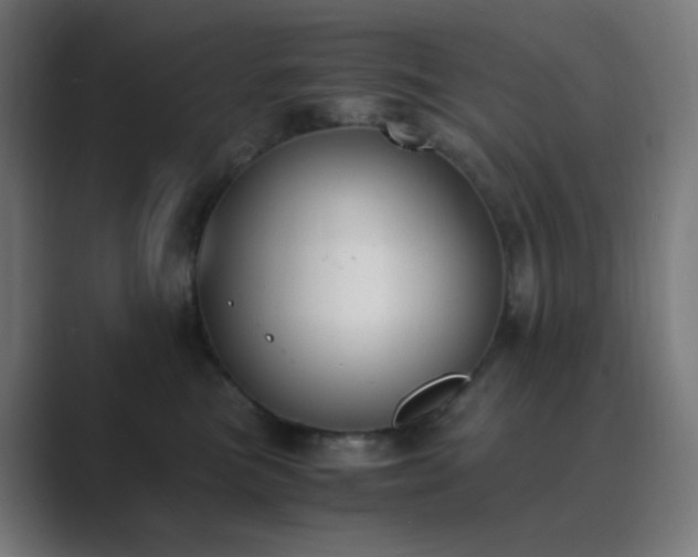 X0000089830473200706281215