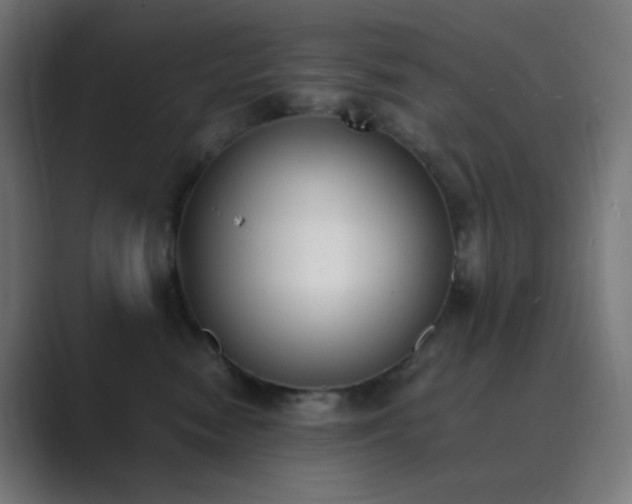 X0000089830474200706281215